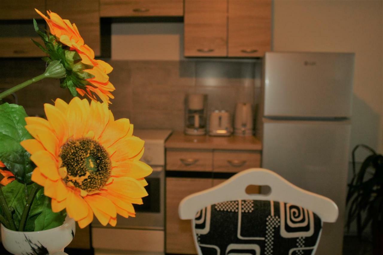 Casa Peterfi - Apartment With 3 Bedrooms And Spacious Living Room Târgu-Mureş 外观 照片