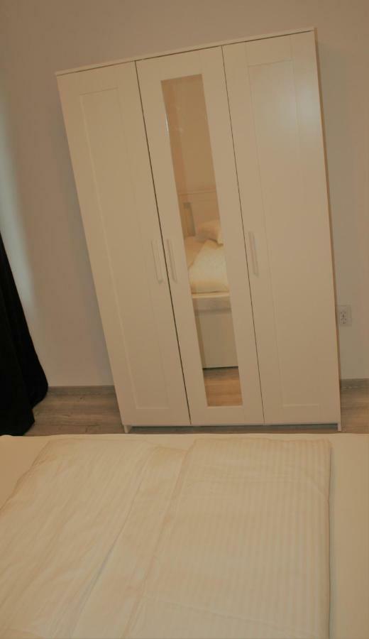 Casa Peterfi - Apartment With 3 Bedrooms And Spacious Living Room Târgu-Mureş 外观 照片