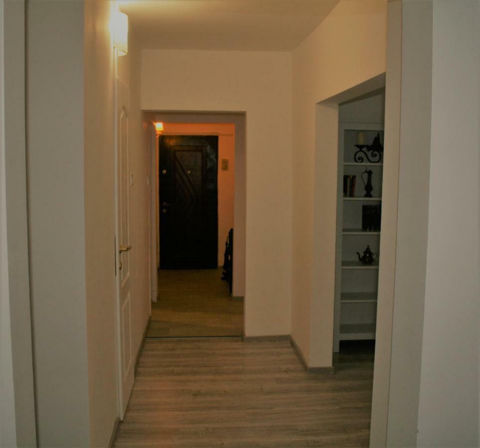 Casa Peterfi - Apartment With 3 Bedrooms And Spacious Living Room Târgu-Mureş 外观 照片