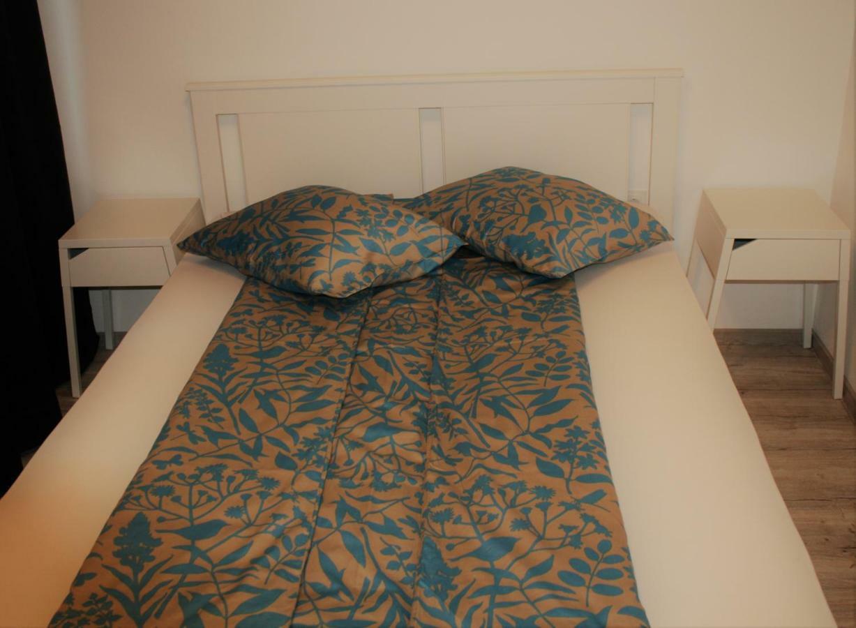 Casa Peterfi - Apartment With 3 Bedrooms And Spacious Living Room Târgu-Mureş 外观 照片