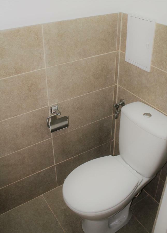 Casa Peterfi - Apartment With 3 Bedrooms And Spacious Living Room Târgu-Mureş 外观 照片